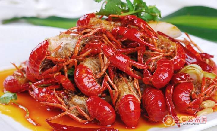 诺宝虾一跳食虾加盟